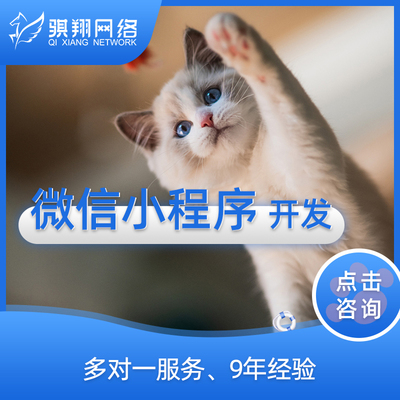 服務(wù)外包供應(yīng)商-IT軟件,品牌設(shè)計,網(wǎng)站外包服務(wù)商平臺